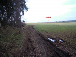 zpevněná lesní cesta pokračuje nezpevněnou polní cestou k posedu uprostřed pole - pohled k posedu (29.12.2013).jpg