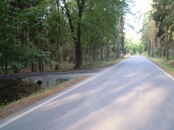 DSCN3207.JPG