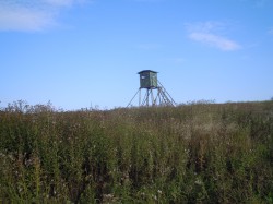 DSCN3232.JPG