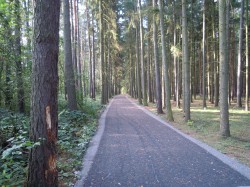 DSCN3210.JPG