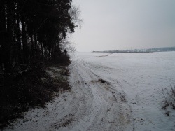 obsluha lesa zajíždí denně až k posedu uprostřed pole (29.1.2014 - 3.den po sněžení).JPG